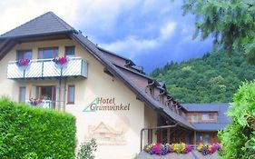 Hotel Gruenwinkel